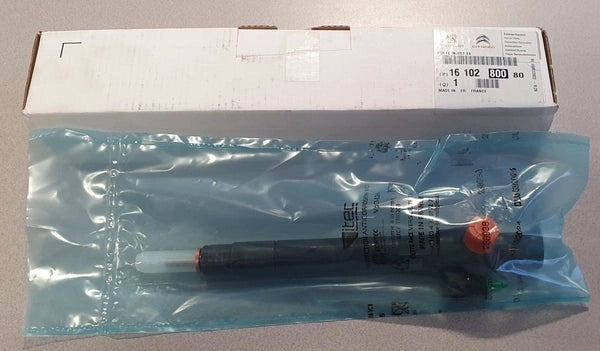 Citroen-FuelInjector