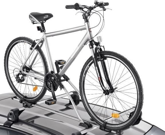 FiatBikeCarrier,Steel