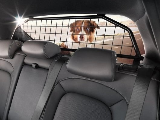 HyundaiDogGuard-KONA