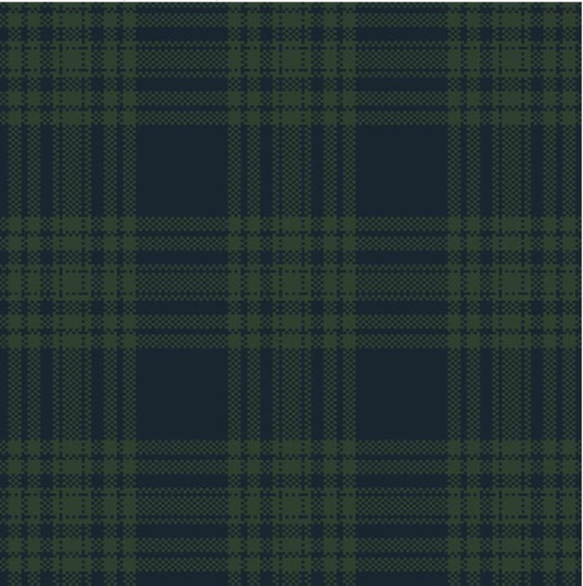 BlackglassLochTartanCarpet
