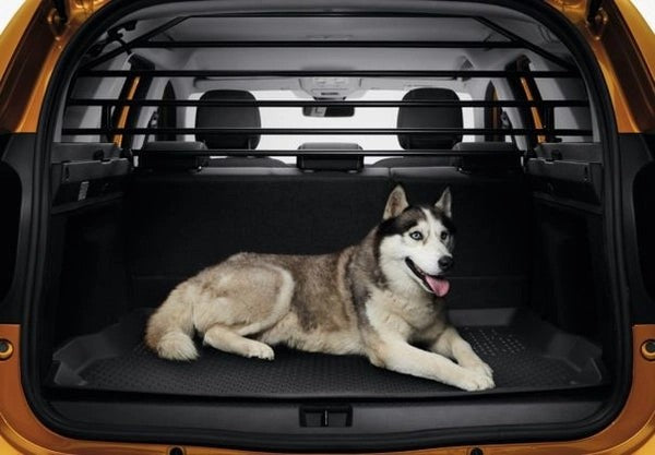 DaciaDuster2PartitionGrille/DogGuard