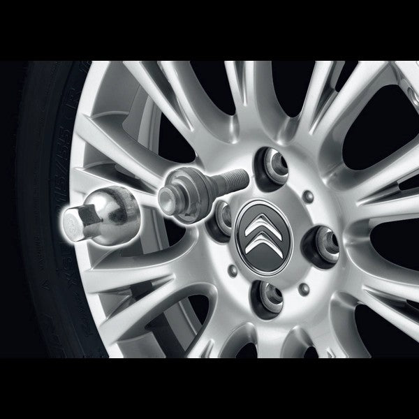 DSAutomobilesSafetyScrewsForAlloyWheels-DS7CrossbackSUV