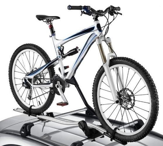 FiatBikeCarrier,Aluminium