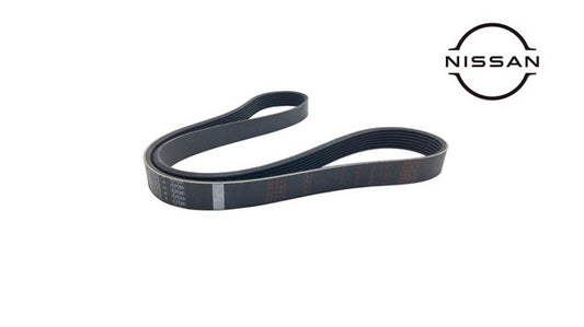 NissanCompressorDriveBelt