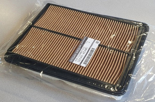NissanQashqai-AirFilter-165464EA0C