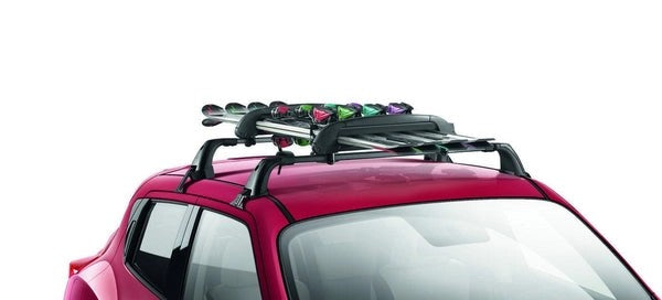 NissanSkiCarrier-UpTo4Pairs
