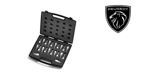 Peugeot-Caseofanti-theftbolts