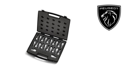 Peugeot-Caseofanti-theftbolts