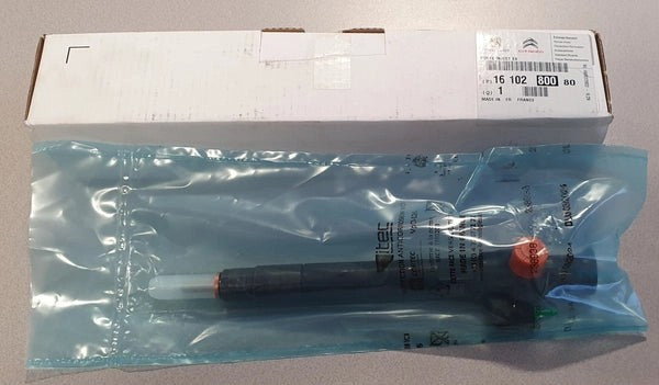 Peugeot-FuelInjector