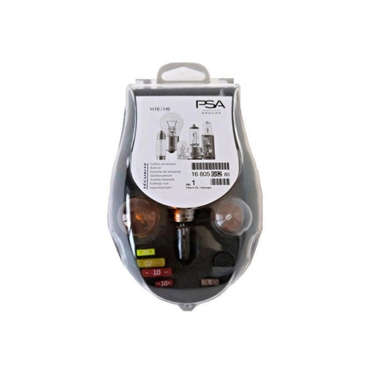 PeugeotBulbKit-H18+H9