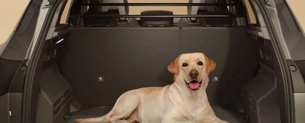 RenaultAustral-PetGuard792B99266R
