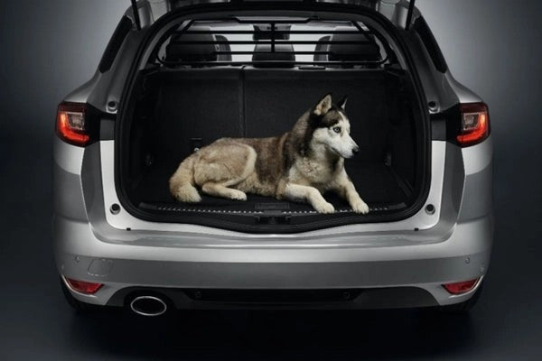 RenaultPartition/DogGrille-Megane