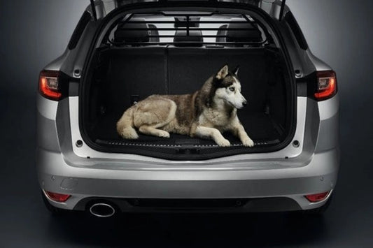 RenaultPartition/DogGrille-Megane