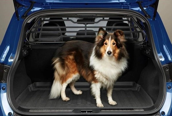 RenaultPartitionGrid/DogGuard-Kadjar
