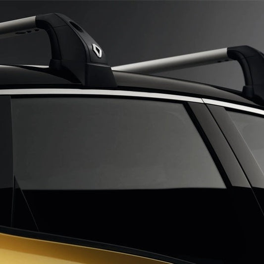 RenaultQuickFixAluminiumRoofBarsScenic