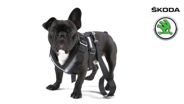SKODADogsafetybelt-"M"""