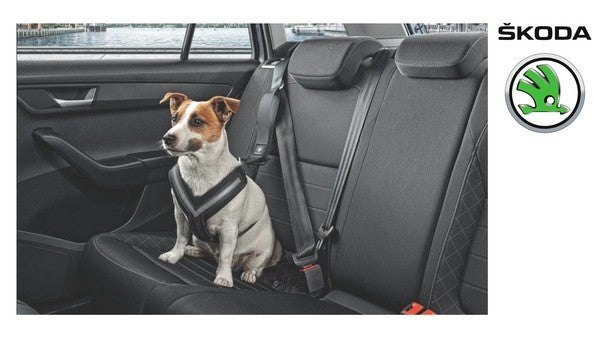 SKODADogsafetybelt-"S"""