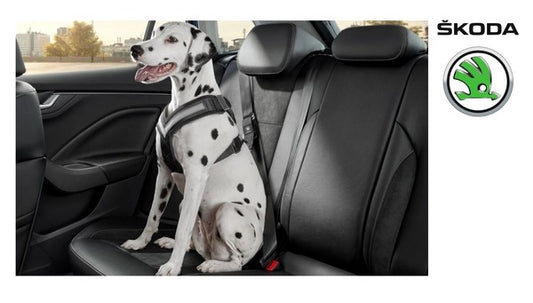 SKODADogsafetybelt-"XL"""