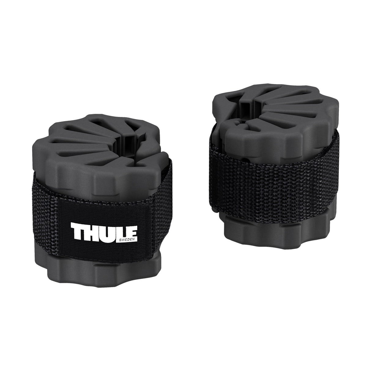 ThuleBikeProtector