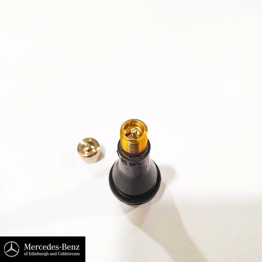Tyrevalvewithmetalcap